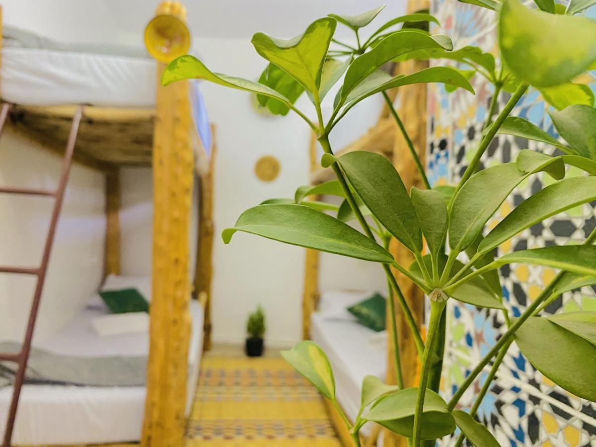 Tizaou Guest House Taghazout Εξωτερικό φωτογραφία